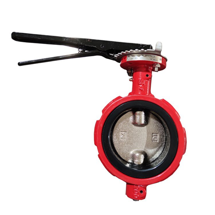 Notched Butterfly Valve